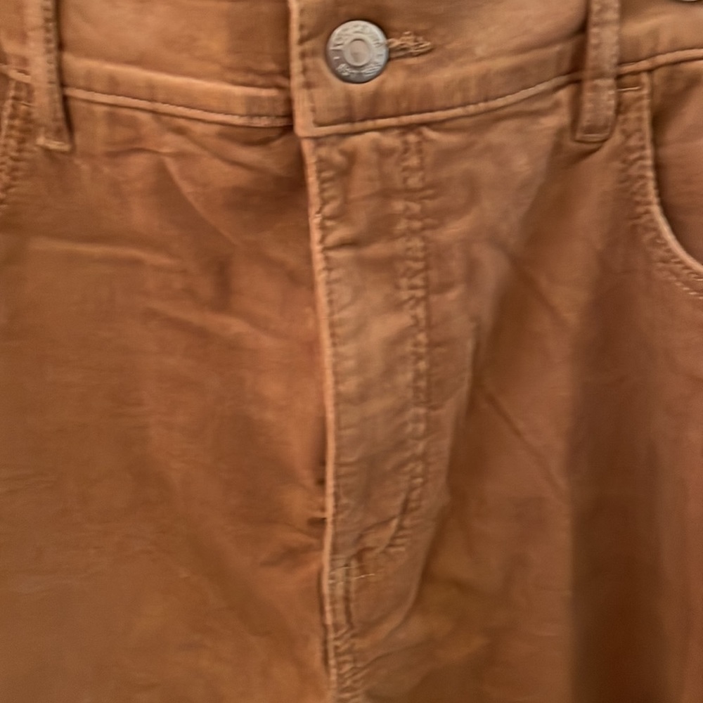 NWT tan corduroy petite skinny pants - Picture 3 of 6
